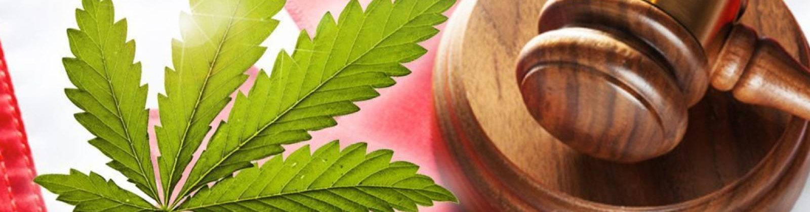 Cannabis GXP Compliance Solution and Management